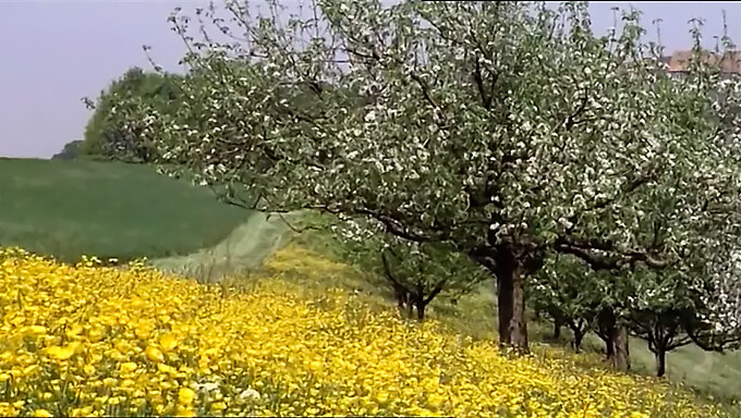 Vintage Volledige Film Van Tiener Die Poesje Eet En Masturbeert