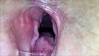 Vagina Đụ Và Bắn Tinh Trên Lưng Trong Video Khiêu Dâm Khó Tính