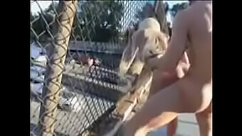 Outdoor Pussyfucking With A Horny Blonde