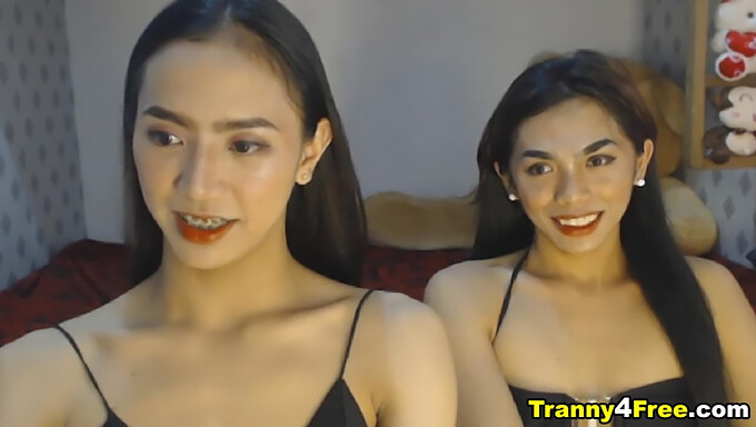 Two Slender Asian Trans Women Perform A Sensual Double Blowjob On A Camera