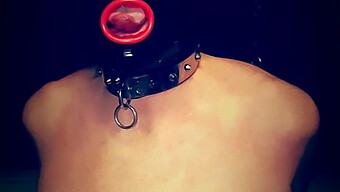 Session Bdsm Avec Ballbusting, Fouet Et Bondage