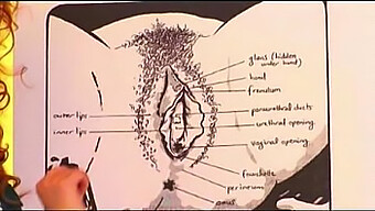 Mastering The Technique Of Oral Stimulation Of A Woman'S Genitals, Featuring Bruno.